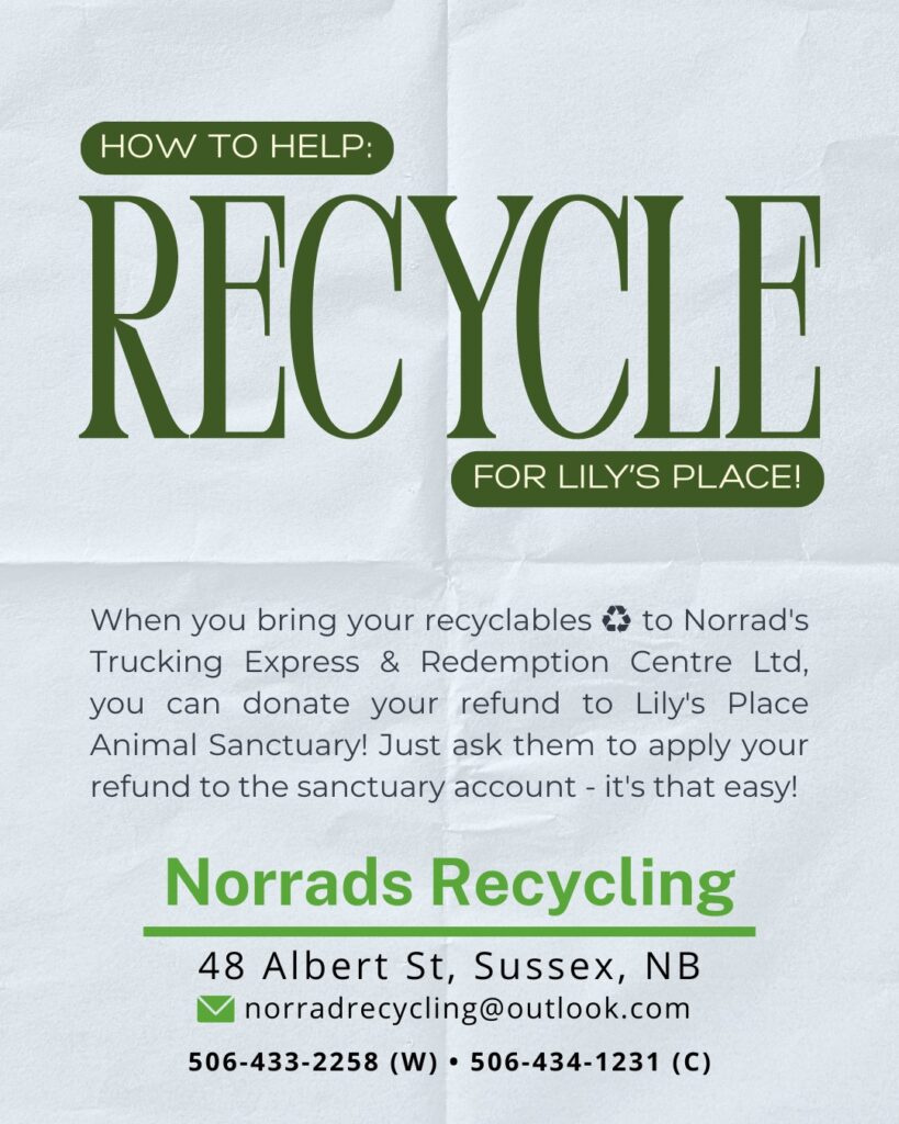 Recycle