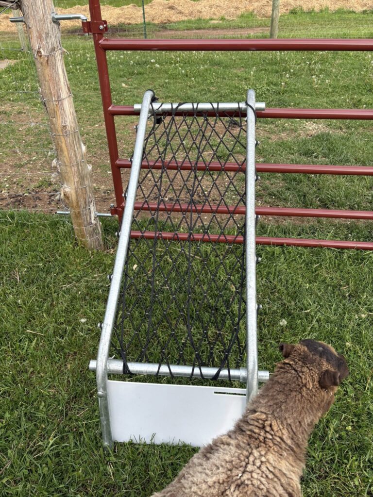 Sheep chair 1