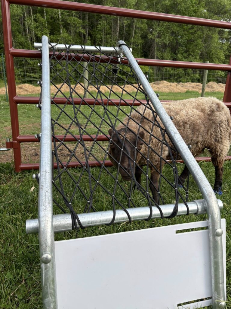 Sheep chair 3