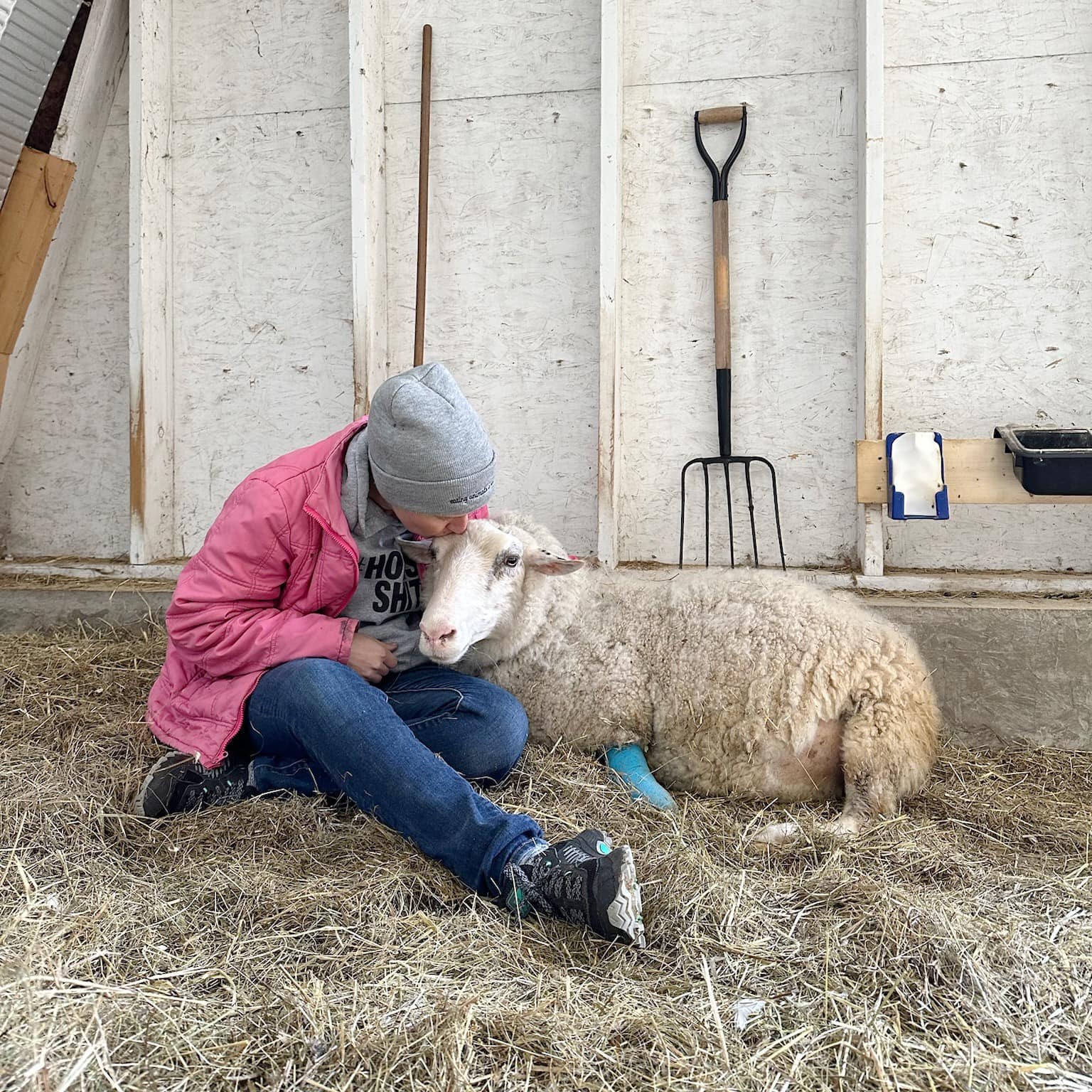 Nancy jamie