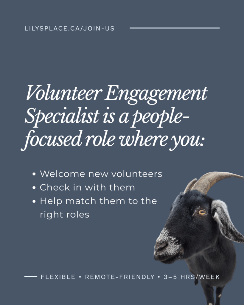Volunteer Engagement Specialist • Lily's Place Animal Sanctuary • Farmed Animal Sanctuary New Brunswick Canada