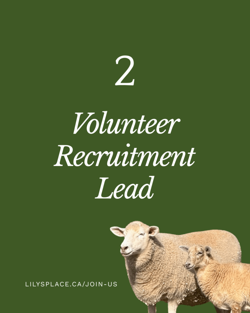 Volunteer Recruitment Lead • Lily's Place Animal Sanctuary • Farmed Animal Sanctuary New Brunswick Canada