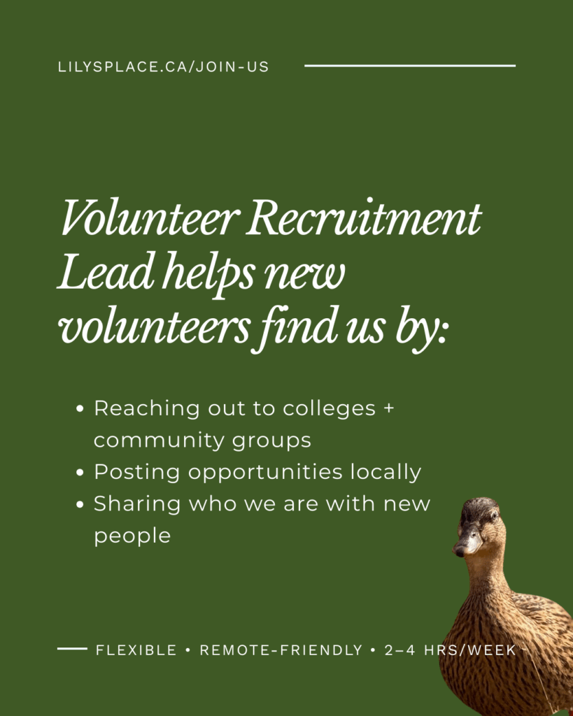 Volunteer Recruitment Lead • Lily's Place Animal Sanctuary • Farmed Animal Sanctuary New Brunswick Canada