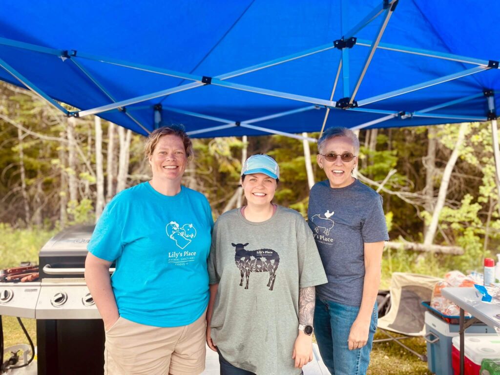 87a98024 ff7d 42da 93cd 7f7f31e0aedf 2