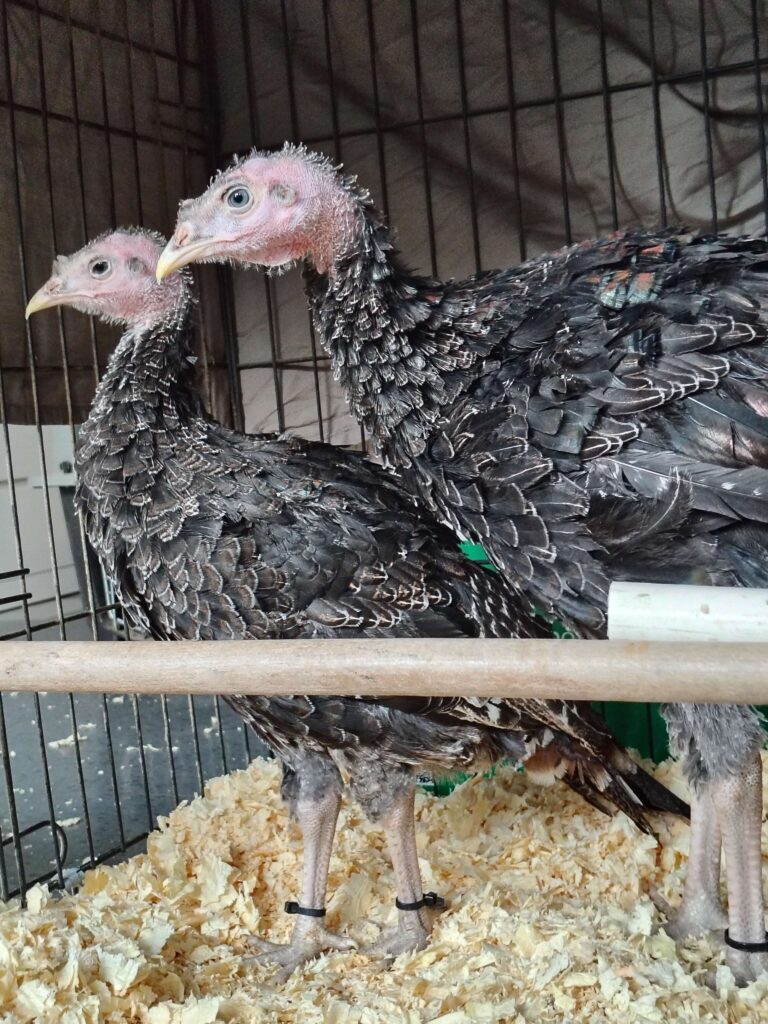 Img 20251222 144234156 hdr