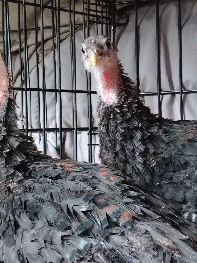 Img 20251222 144430380 hdr