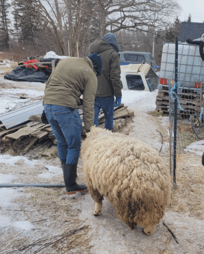 Screenshot 2025 12 08 at 7.54.25 pm