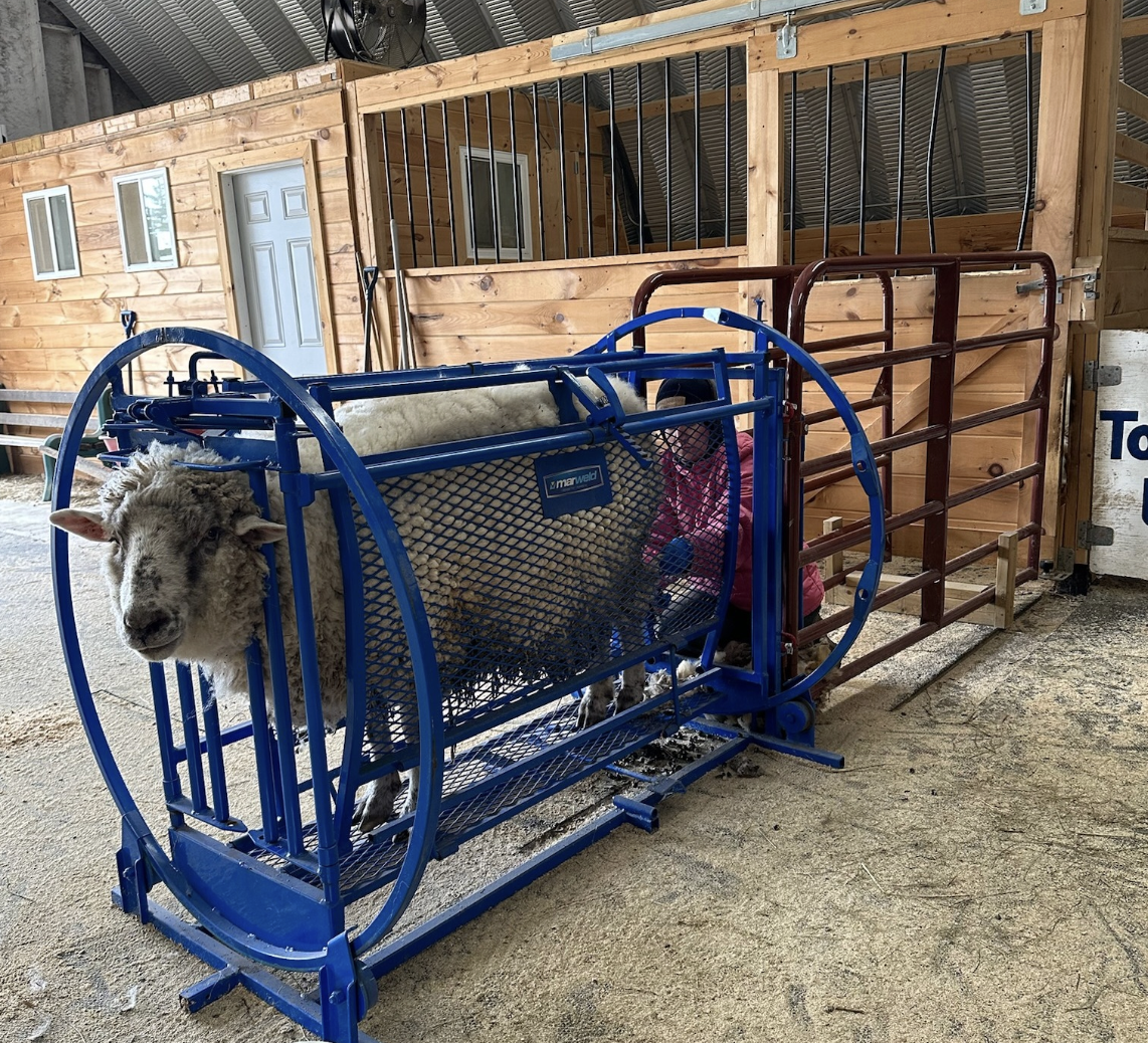 Screenshot 2025 12 15 at 2.14.27 pm