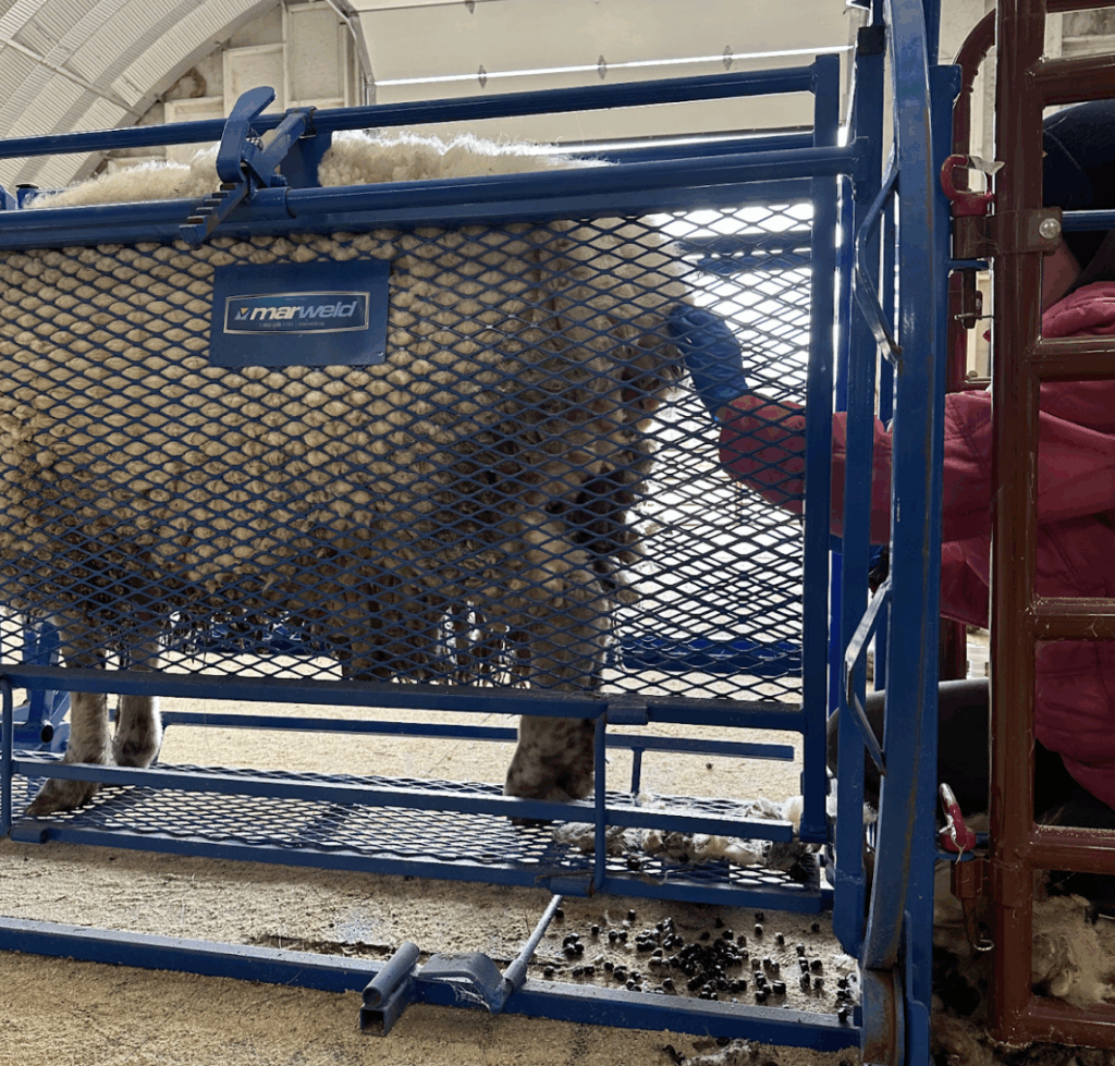 Screenshot 2025 12 15 at 2.15.08 pm