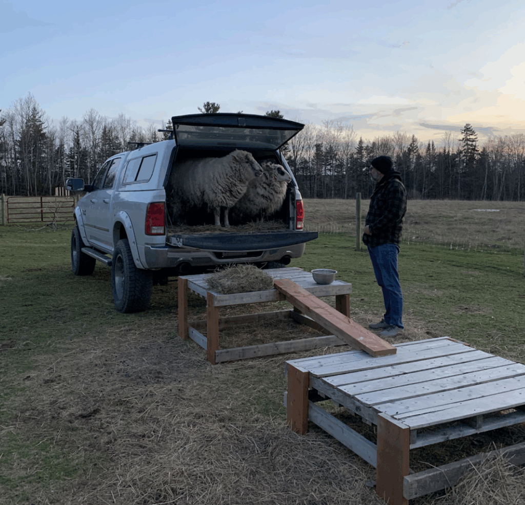 Screenshot 2025 12 15 at 2.15.21 pm