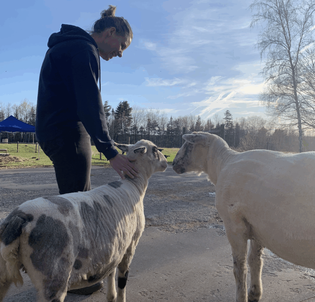 Screenshot 2025 12 15 at 2.15.31 pm