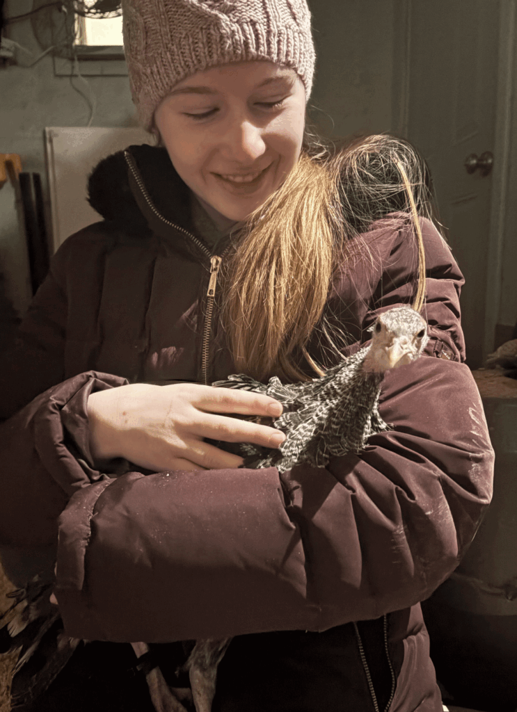 Screenshot 2025 12 30 at 11.48.59 pm