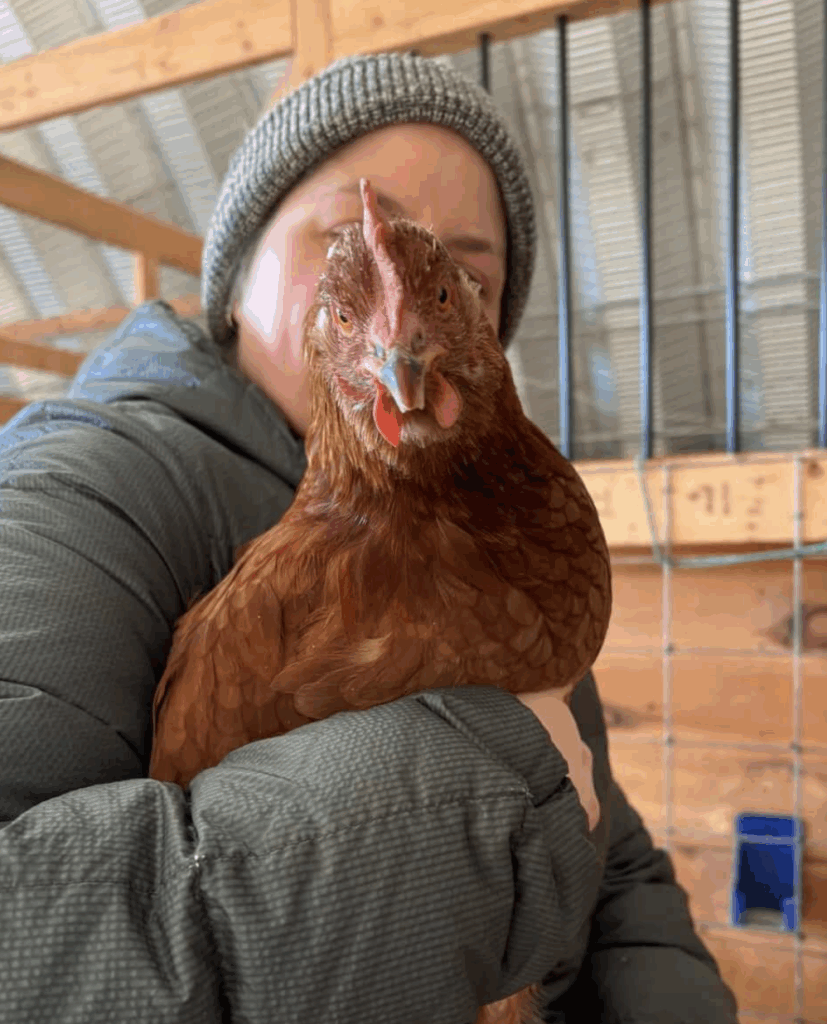 Screenshot 2025 12 31 at 8.36.55 am