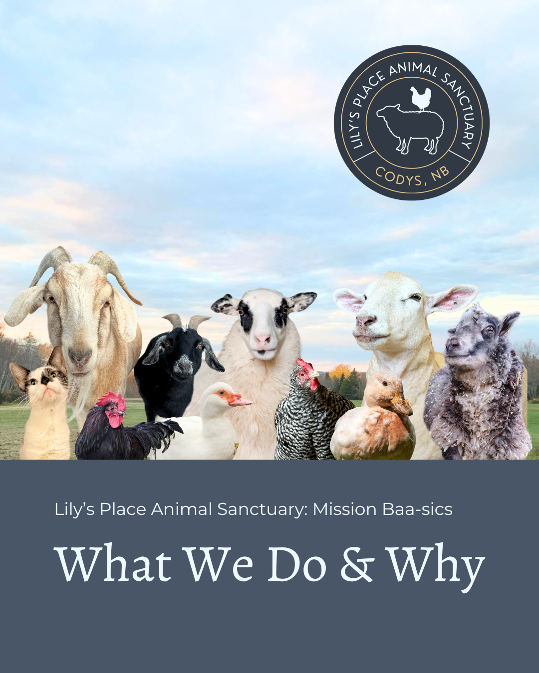 Mission basics cover