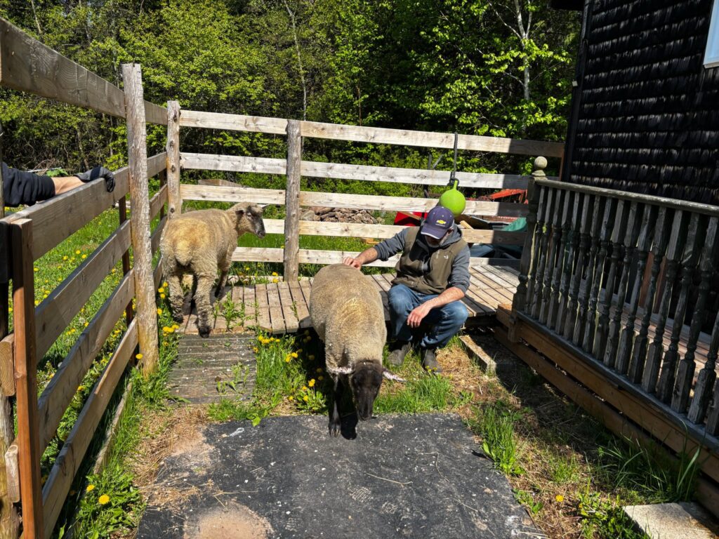 506209275 1155185606653104 1967414385460631735 n