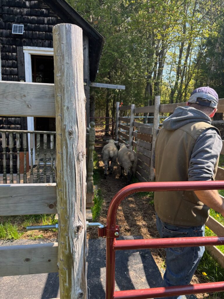 506283806 1155185509986447 3346495084706264079 n