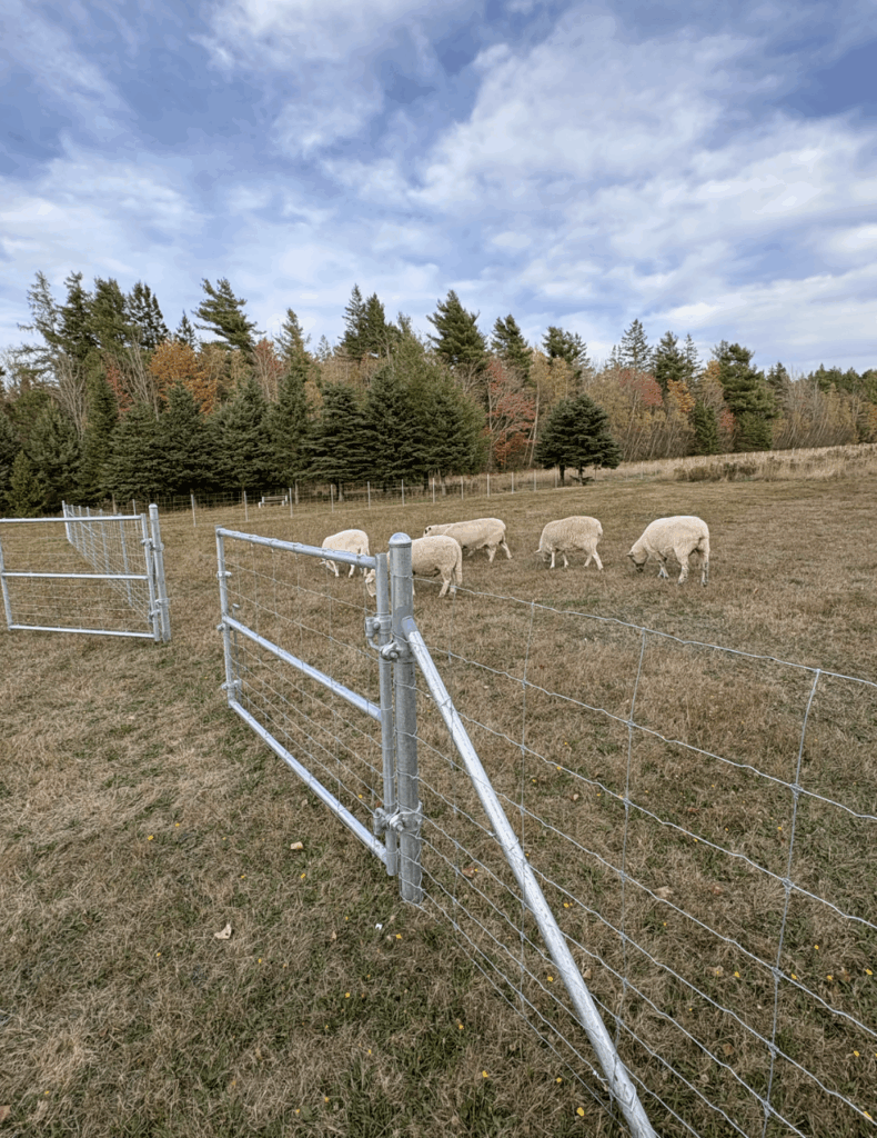 Screenshot 2026 01 01 at 6.36.35 pm