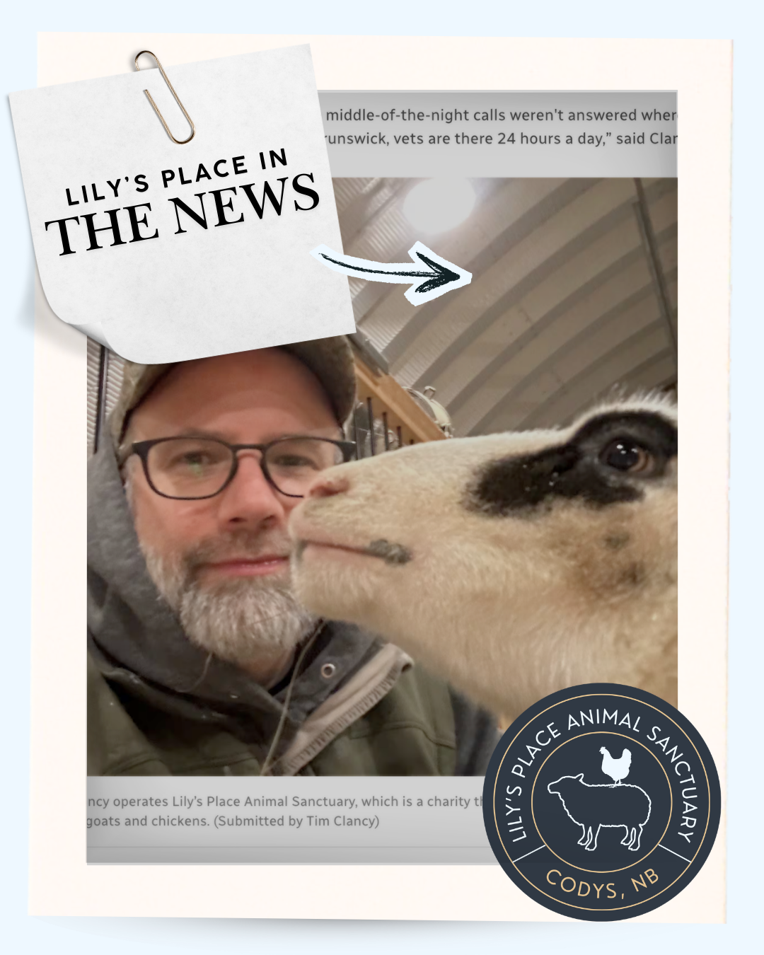 Lily's Place Animal Sanctuary on CBC New Brunswick