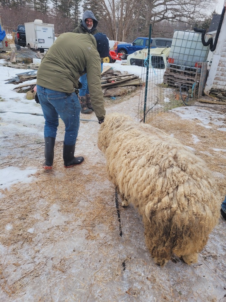 657542131 1395781755926820 8108841618196922481 n