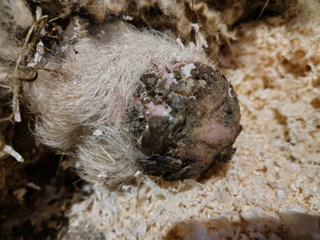 657723190 1395782115926784 4708480947065839848 n