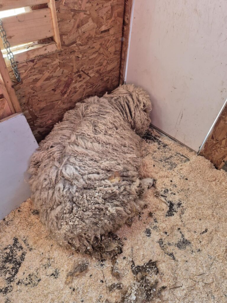 658126371 1395781855926810 2335109378480394470 n