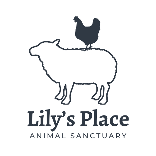 Lp logo lilys place animal sanctuary 1