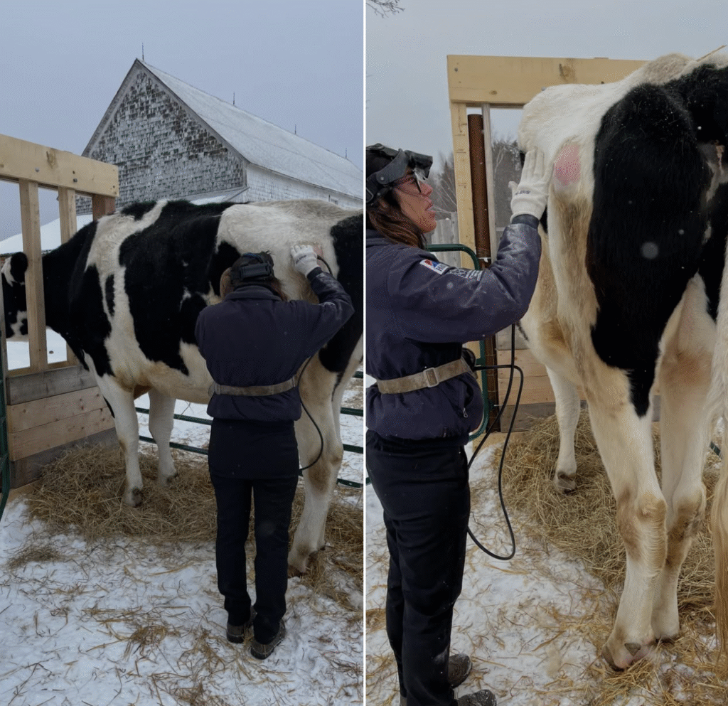 Screenshot 2026 03 19 at 2.25.57 pm