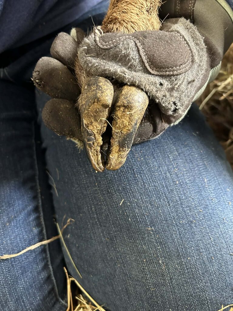 Att.0qq2tghg1acyxdkprazci y7gibka1v8ckhlnzjnrti