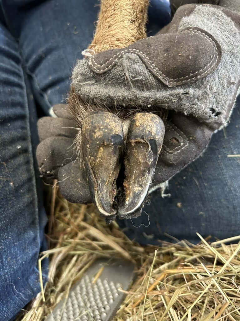 Att.3eucdlodwpost xk53ekrnulzzmrd3pg2zzpdv4jqje