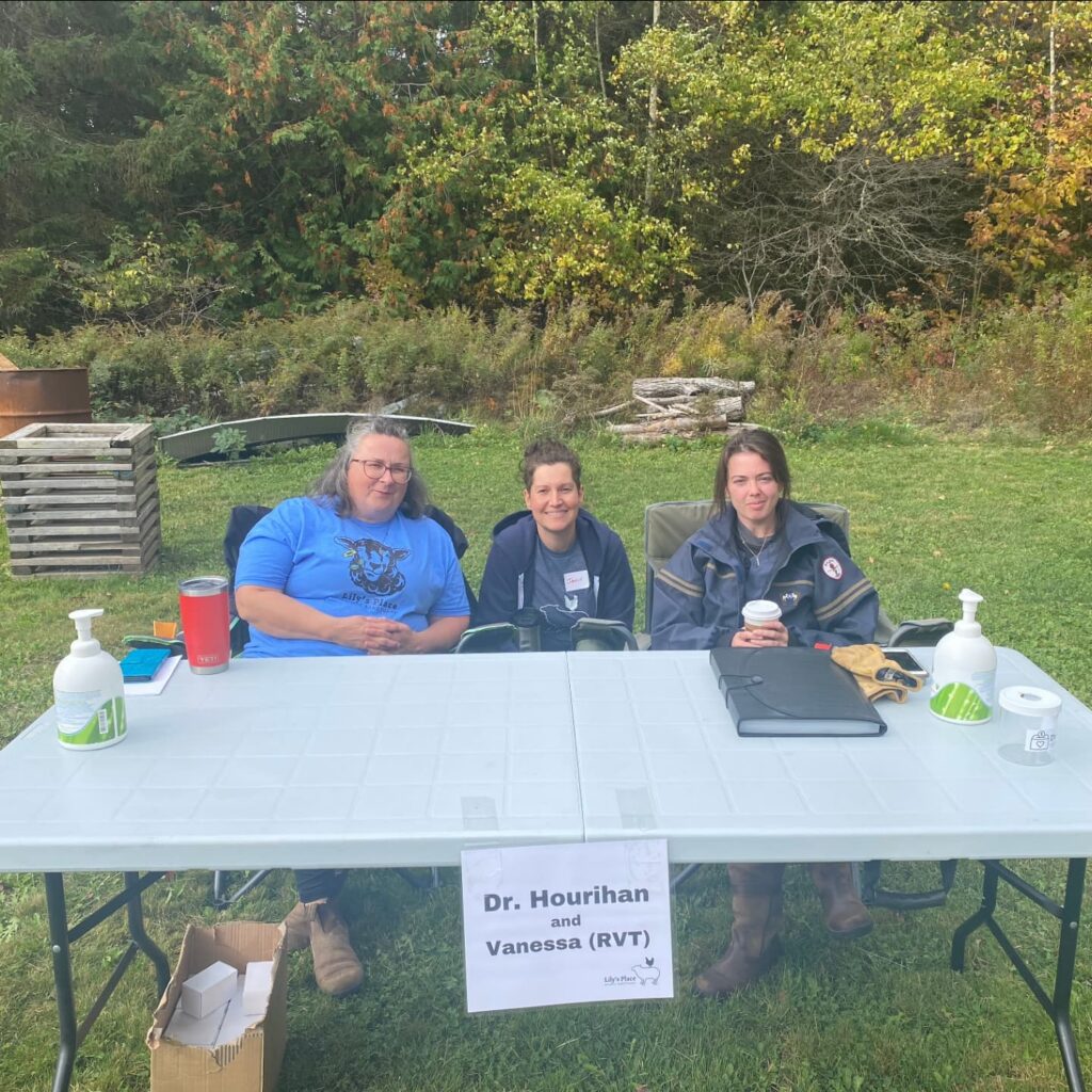 Dr hourihan and vanessa rvt