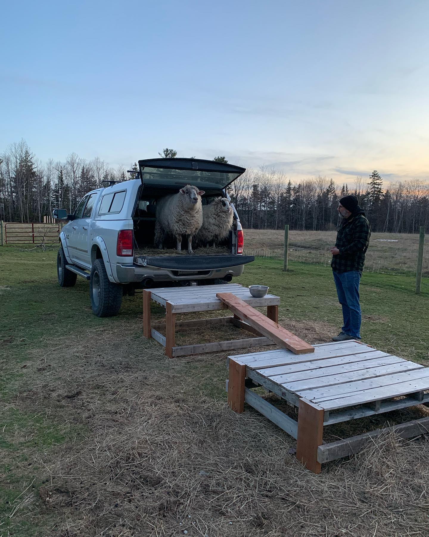 Johnny june apr 24 2023